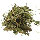 Weisser Tee -  Zitrone Rosmarin
